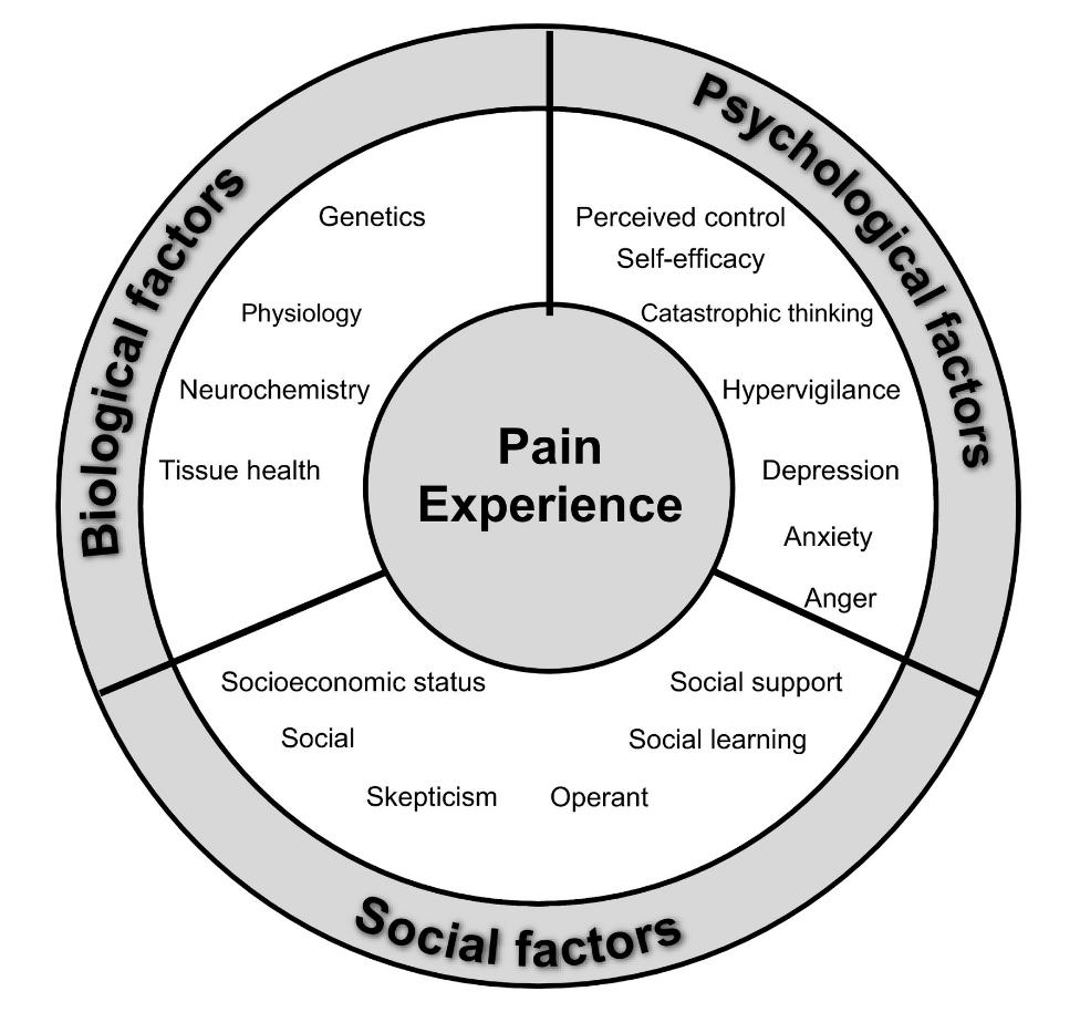 What Is The Biopsychosocial Model Of Pain MOTIVNY